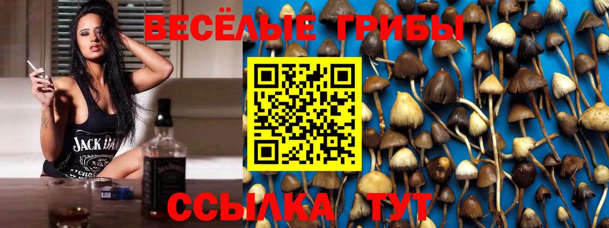 Галлюциногенные грибы прущие грибы Североморск